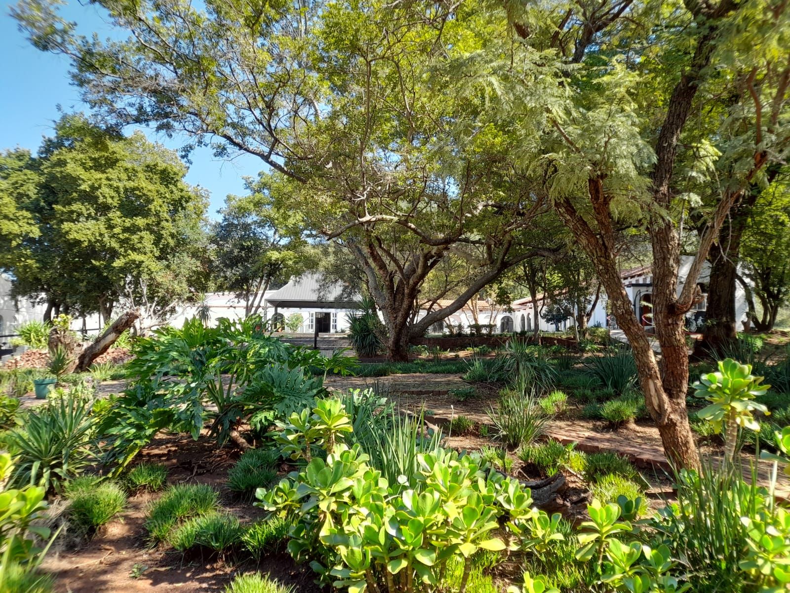 Indigenous garden