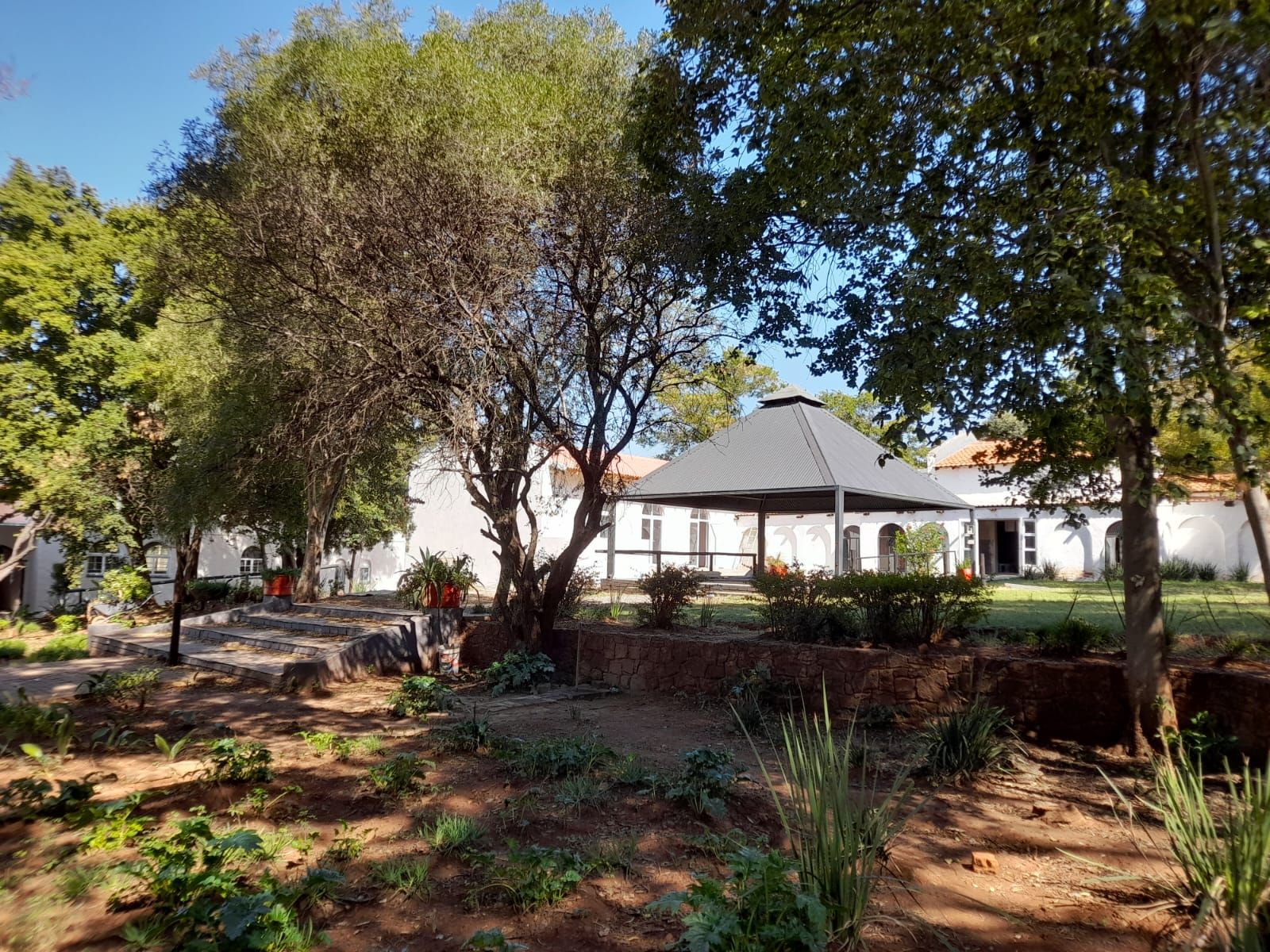 Trees and whitewashed buildings in the grounds at Aloe Valley